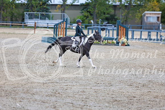 13544 - Shea - 2026 Fall Finale - Sunday September 13th