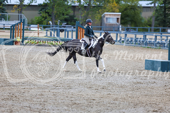 13546 - Shea - 2026 Fall Finale - Sunday September 13th
