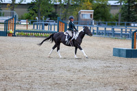 13547 - Shea - 2026 Fall Finale - Sunday September 13th