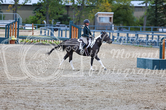 13547 - Shea - 2026 Fall Finale - Sunday September 13th