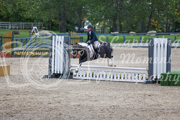 13552 - Shea - 2026 Fall Finale - Sunday September 13th