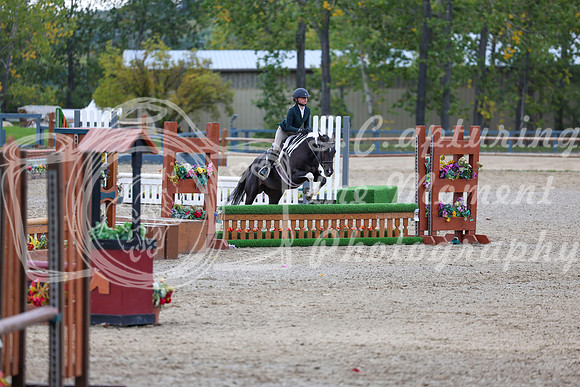 13660 - Shea - 2026 Fall Finale - Sunday September 13th