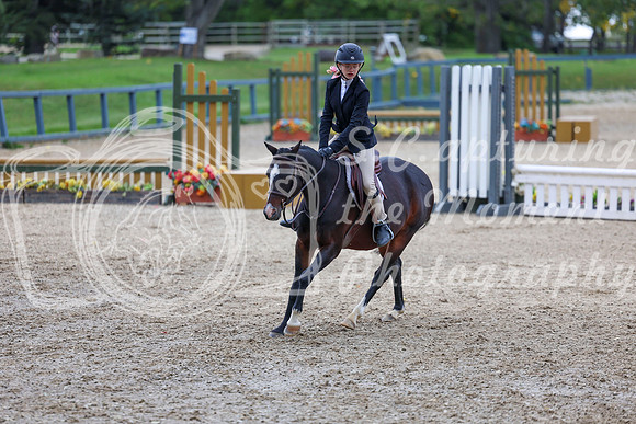 13561 - Shea - 2026 Fall Finale - Sunday September 13th