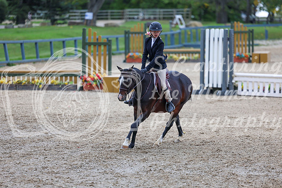 13562 - Shea - 2026 Fall Finale - Sunday September 13th