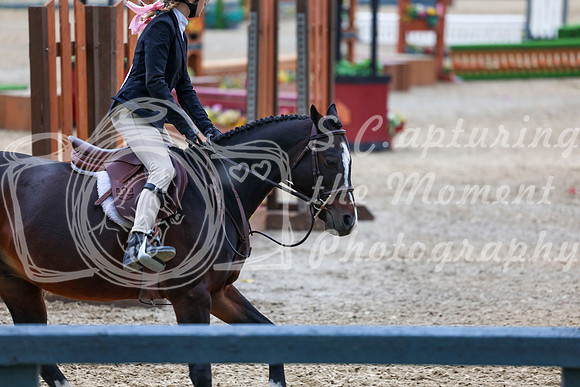 13565 - Shea - 2026 Fall Finale - Sunday September 13th