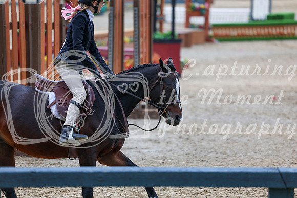 13566 - Shea - 2026 Fall Finale - Sunday September 13th