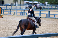 13567 - Shea - 2026 Fall Finale - Sunday September 13th
