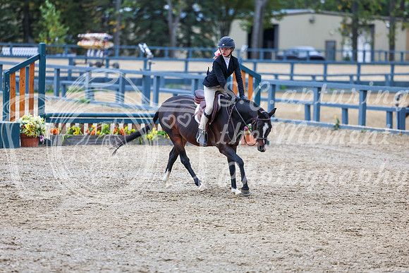13583 - Shea - 2026 Fall Finale - Sunday September 13th