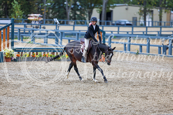 13584 - Shea - 2026 Fall Finale - Sunday September 13th