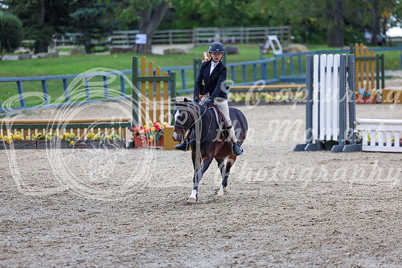 13594 - Shea - 2026 Fall Finale - Sunday September 13th