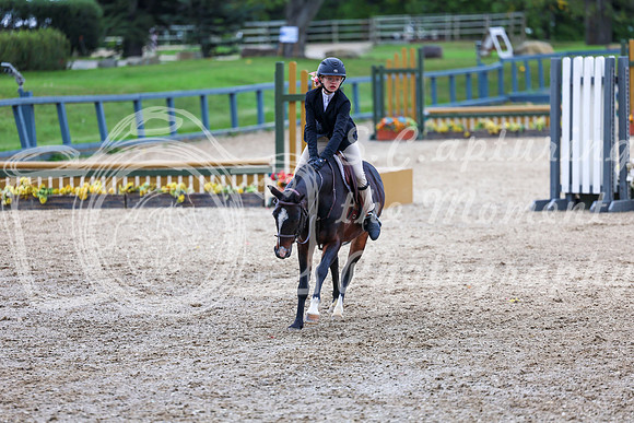 13596 - Shea - 2026 Fall Finale - Sunday September 13th
