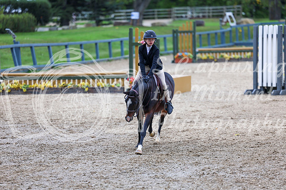 13598 - Shea - 2026 Fall Finale - Sunday September 13th