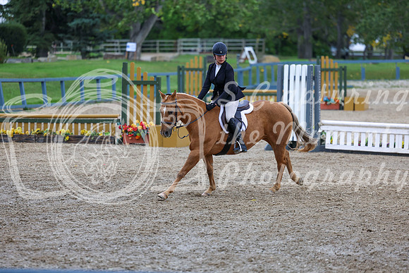 14450 - Shea - 2026 Fall Finale - Sunday September 13th