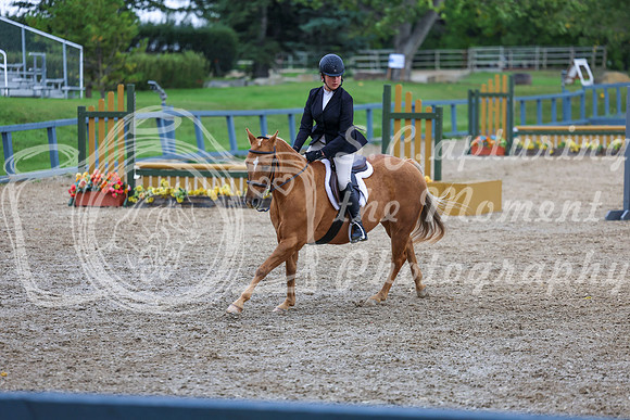 14453 - Shea - 2026 Fall Finale - Sunday September 13th