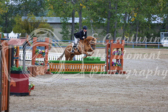 14456 - Shea - 2026 Fall Finale - Sunday September 13th