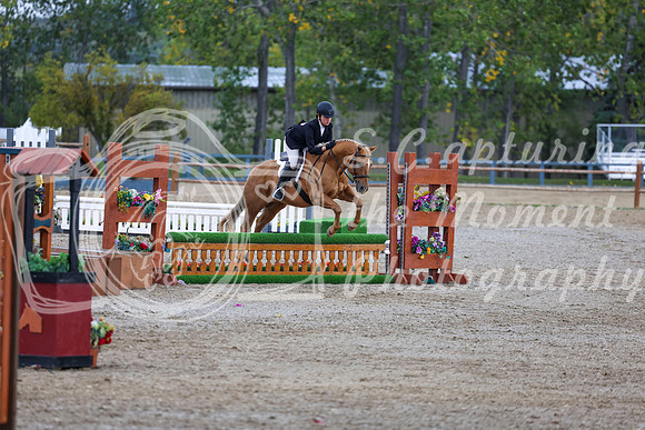 14458 - Shea - 2026 Fall Finale - Sunday September 13th
