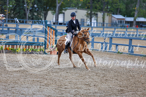 14463 - Shea - 2026 Fall Finale - Sunday September 13th