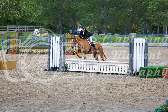 14466 - Shea - 2026 Fall Finale - Sunday September 13th