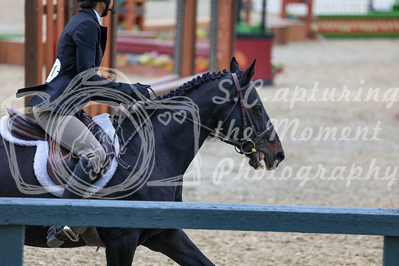 13615 - Shea - 2026 Fall Finale - Sunday September 13th