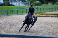13613 - Shea - 2026 Fall Finale - Sunday September 13th