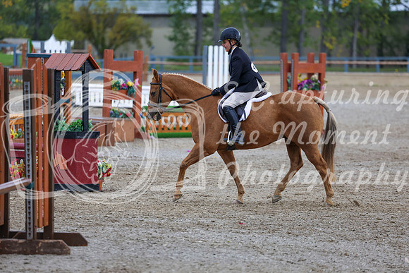 14475 - Shea - 2026 Fall Finale - Sunday September 13th