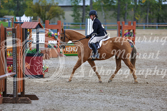 14476 - Shea - 2026 Fall Finale - Sunday September 13th