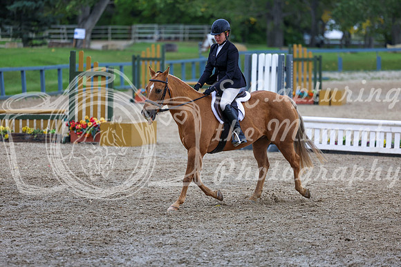 14482 - Shea - 2026 Fall Finale - Sunday September 13th