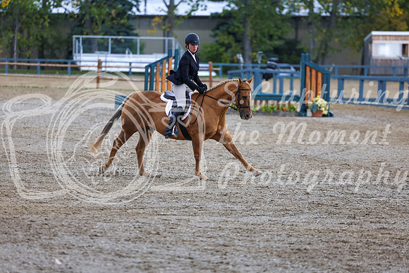 14532 - Shea - 2026 Fall Finale - Sunday September 13th