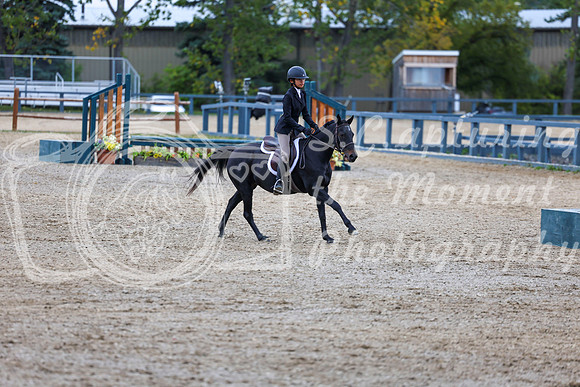 13822 - Shea - 2026 Fall Finale - Sunday September 13th