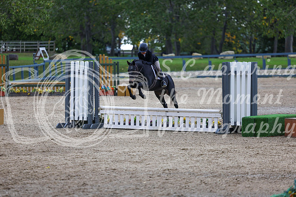 13830 - Shea - 2026 Fall Finale - Sunday September 13th