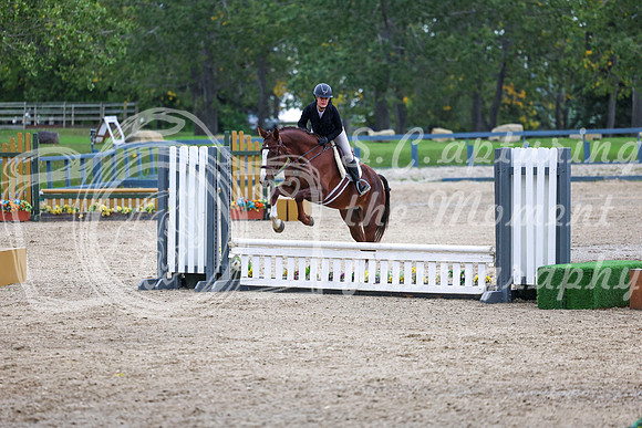 13936 - Shea - 2026 Fall Finale - Sunday September 13th