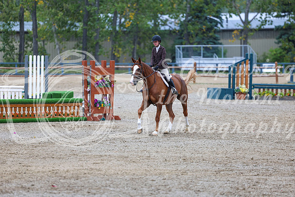 14230 - Shea - 2026 Fall Finale - Sunday September 13th