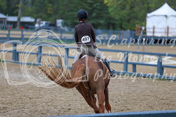 14231 - Shea - 2026 Fall Finale - Sunday September 13th