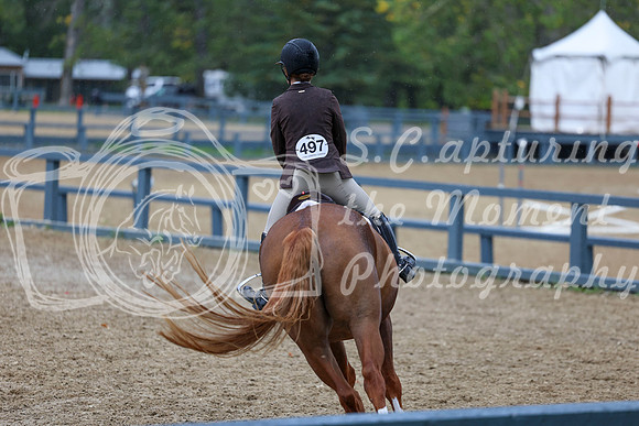 14232 - Shea - 2026 Fall Finale - Sunday September 13th