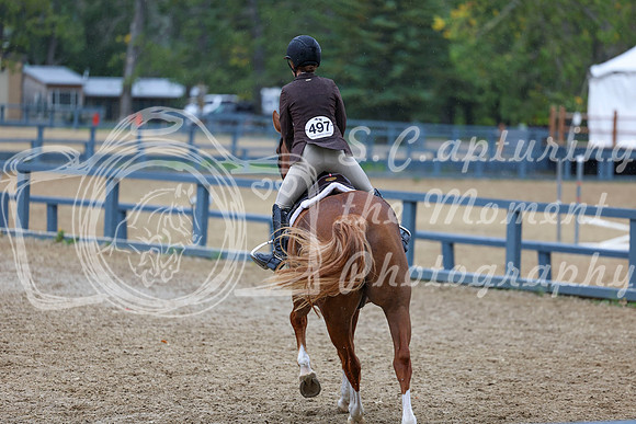 14233 - Shea - 2026 Fall Finale - Sunday September 13th