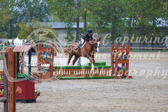 14236 - Shea - 2026 Fall Finale - Sunday September 13th