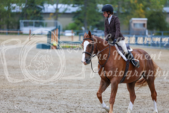 14246 - Shea - 2026 Fall Finale - Sunday September 13th