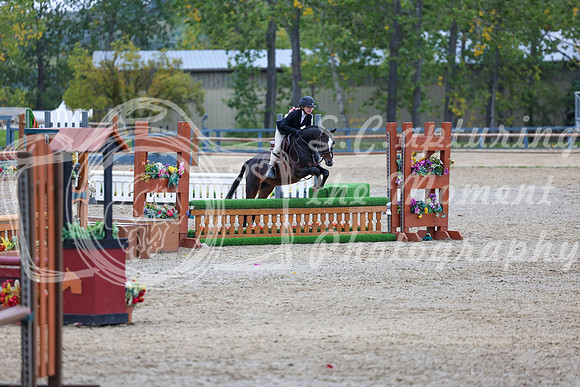 13975 - Shea - 2026 Fall Finale - Sunday September 13th
