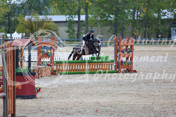 13976 - Shea - 2026 Fall Finale - Sunday September 13th