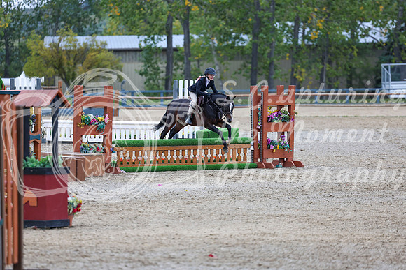 13978 - Shea - 2026 Fall Finale - Sunday September 13th
