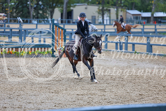 13983 - Shea - 2026 Fall Finale - Sunday September 13th