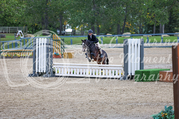 13985 - Shea - 2026 Fall Finale - Sunday September 13th