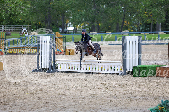 13989 - Shea - 2026 Fall Finale - Sunday September 13th