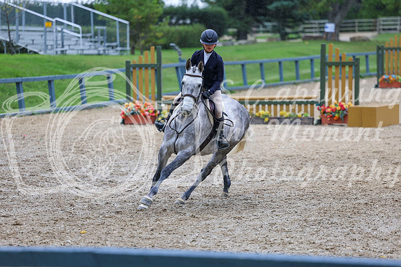 14185 - Shea - 2026 Fall Finale - Sunday September 13th