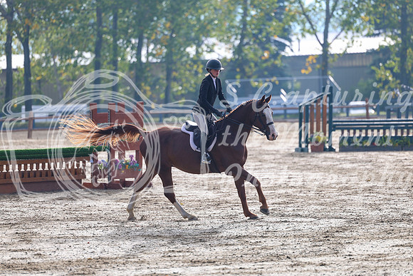 08700 - Elina - 2026 Fall Finale - Sunday September 13th