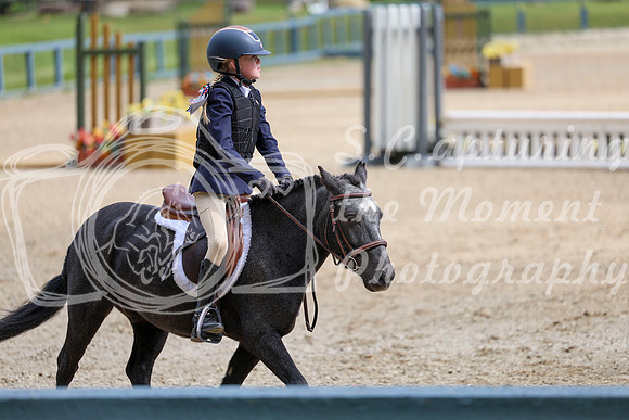 12477 - Elina - 2026 Fall Finale - Sunday September 13th
