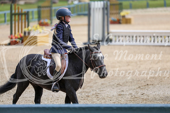 12480 - Elina - 2026 Fall Finale - Sunday September 13th