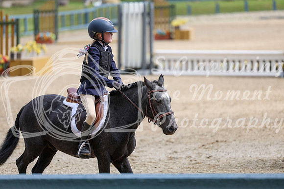 12484 - Elina - 2026 Fall Finale - Sunday September 13th