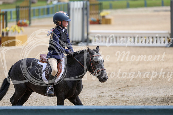 12485 - Elina - 2026 Fall Finale - Sunday September 13th