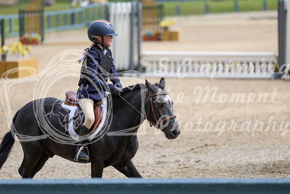 12486 - Elina - 2026 Fall Finale - Sunday September 13th